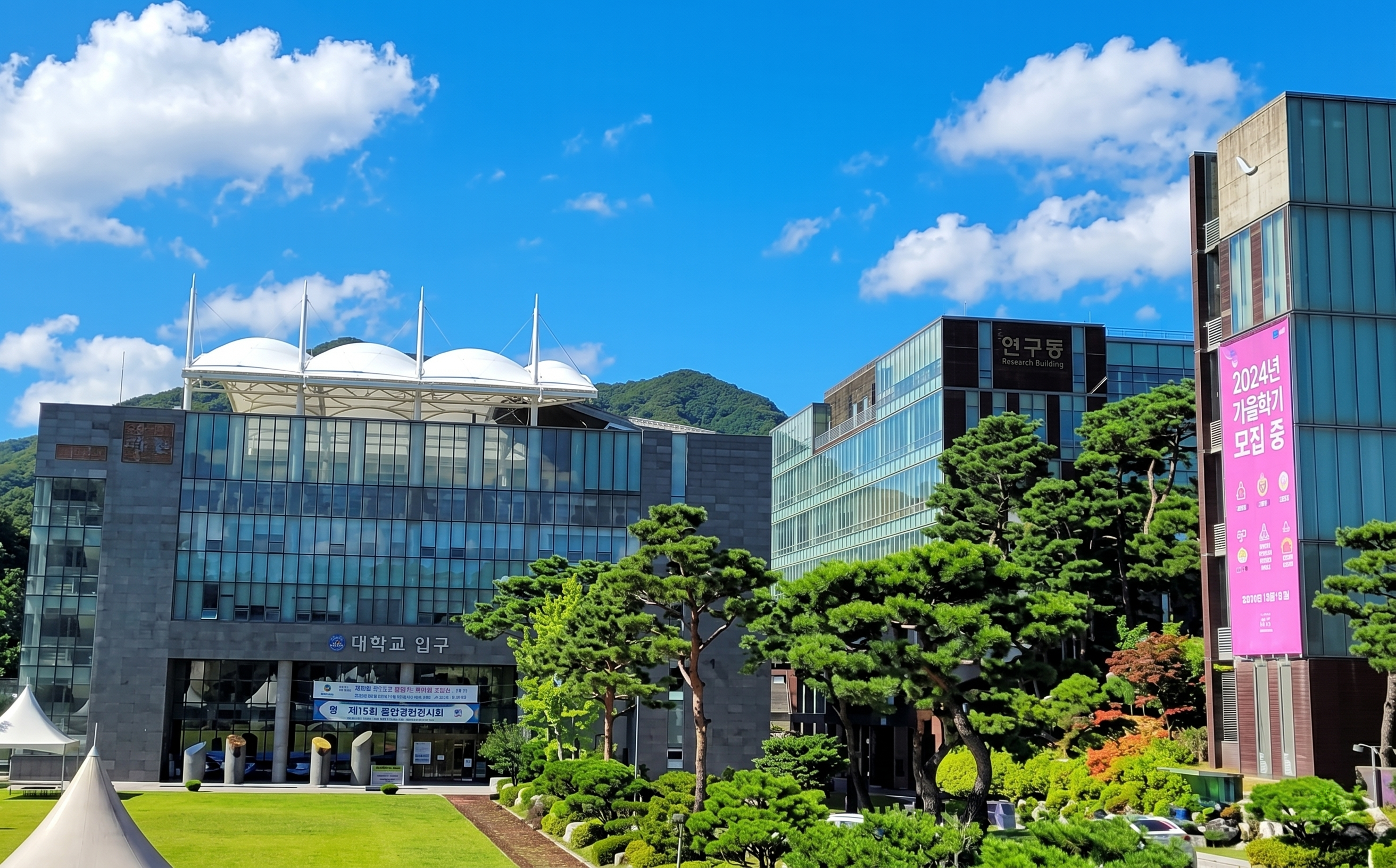 Anyang University